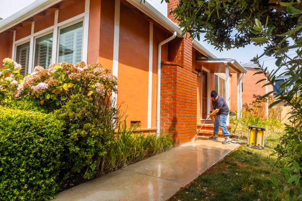 Best Pressure Washing Siding  in Freeport, PA